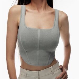 Aritzia Babaton Sculpt Knit Bustier
